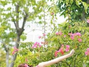 你还在等什么？51免费吃瓜地址已经彻底飙升成新热点！