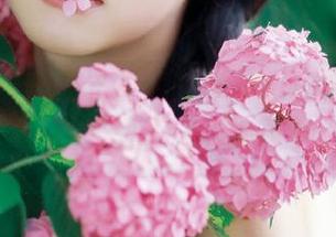 剁手党的天堂：5i吃瓜网网页，在线剖析您的追星梦