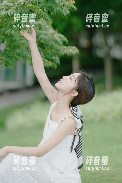 吃瓜神器xgua66,tv：每次追剧都能把我从狗粮中拯救出来，永不迷路的快乐！