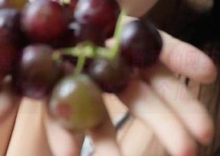 无法自拔！首页的网红黑料，让我一口气吃了十个瓜！