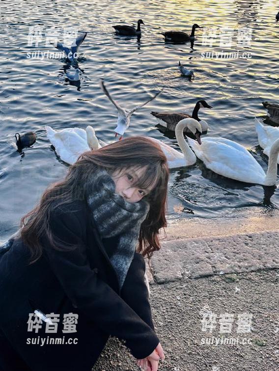 安卓用户的黑料不打烊：看瓜的同时，还得忍受广告“强袭”！