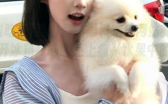 登陆黑料吃瓜网站的网页比打开冰箱找吃的还上瘾，水果中的水果啊！