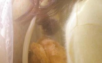 在黑料社正能量的iOS上，瓜真是数不胜数，停不下来啊