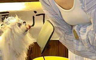 黑料网不打炀的网页总有些让人意想不到的新瓜，轻松又带点惊险。